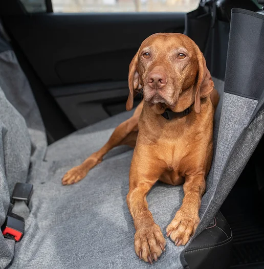 Protecteur de siège d'auto pour chiens, hamac gris Bergan
